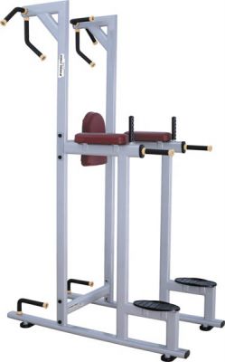 Diesel Fitness 027 Vertical Knee Raise