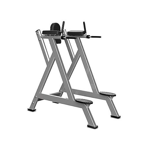 Profitness Vertical Knee Raise